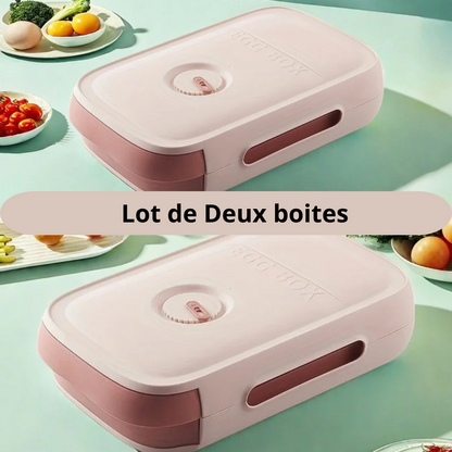 Boite à oeufs / La galerie des œufs