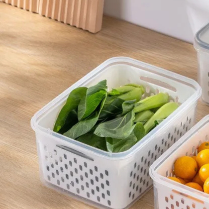 Boite de conservation alimentaire / L'opti