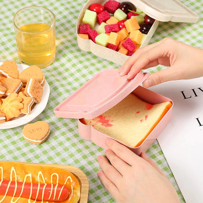 Boite alimentaire / Alysse ™