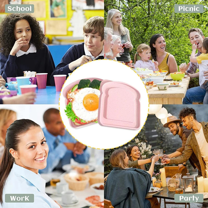 Boite alimentaire / Alysse ™